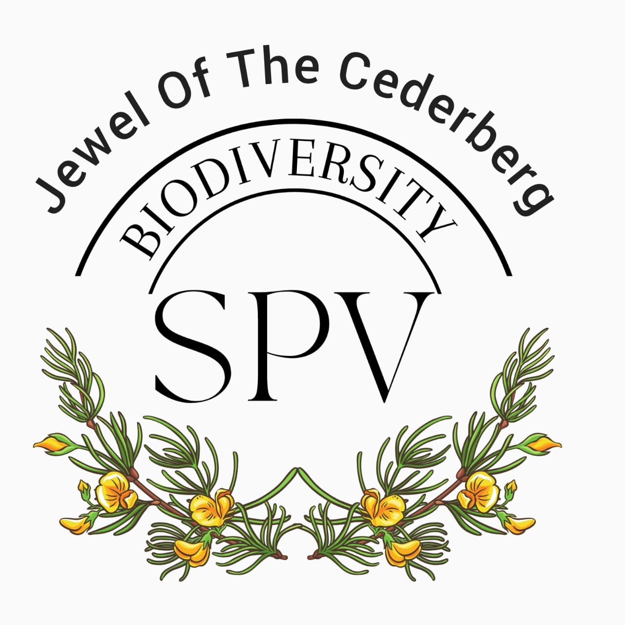 SPV - Jewel of The Cederberg